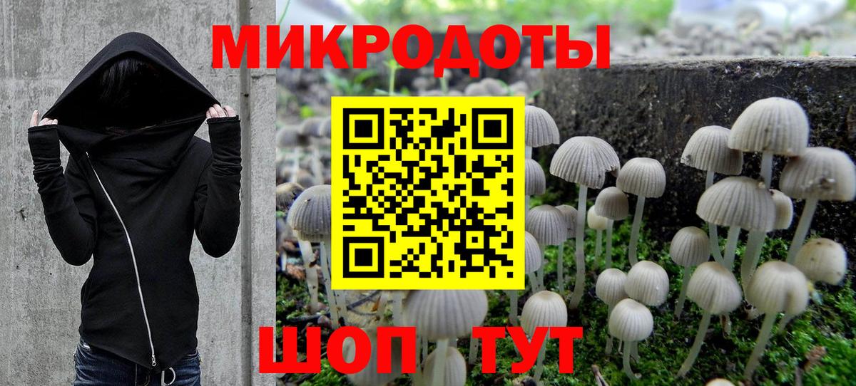 Псилоцибиновые грибы GOLDEN TEACHER Зеленокумск