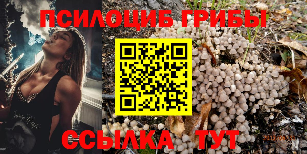 Галлюциногенные грибы мухоморы  Вход с VPN  Зеленокумск 